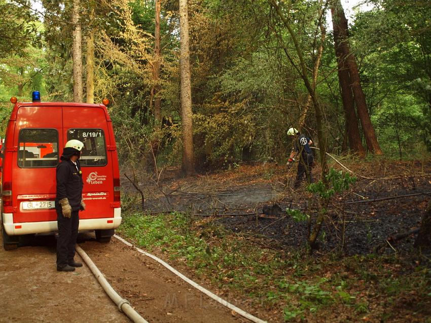 Waldbrand Bergisch Gladbach Bensberg P057.JPG